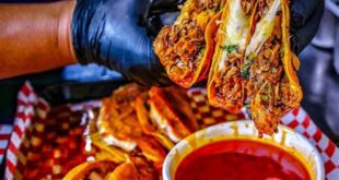 Best Tacos Near Me, Fast & Delicious