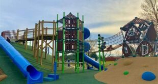 Find the Best Parks Near Me, A Local's Guide