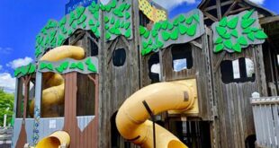 Fun Things To Do Near Me, Your Local Guide